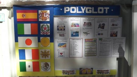 Перший день роботи англомовного табору "Поліглот" для учнів 6-9 класів